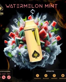 Ace Watermelon Mint